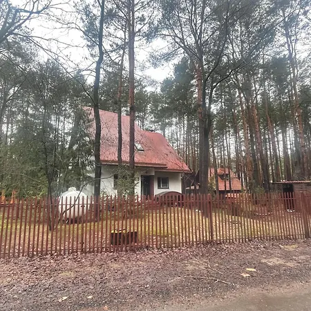 Dom Lesny Z Sauna